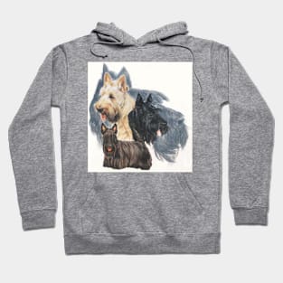 Scottish Terrier Hoodie